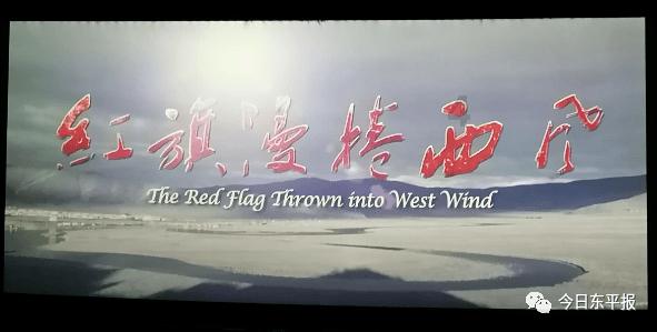 揭秘HPV早期症状:贵阳长江医院专家解答皮损和继发感染